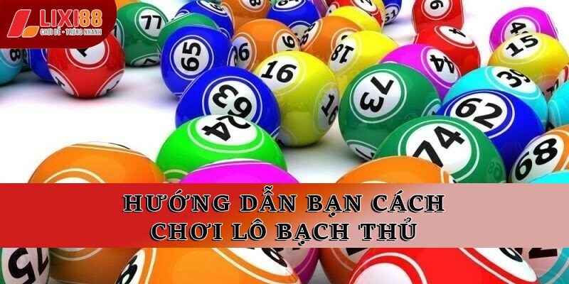 Bạch Thủ Lô – Phương Pháp Chơi Hiệu Quả Tại Nhà Cái Lixi88