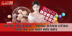 Xổ Số Lixi88 | Dự Đoán Kết Quả & Tỷ Lệ Trả Thưởng Cao