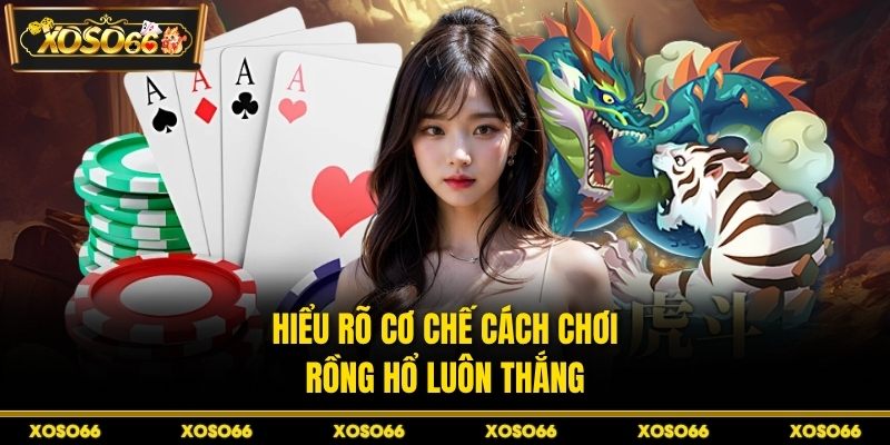 Cách Chơi Rồng Hổ Luôn Thắng XOSO66 - Kinh Nghiệm Hay