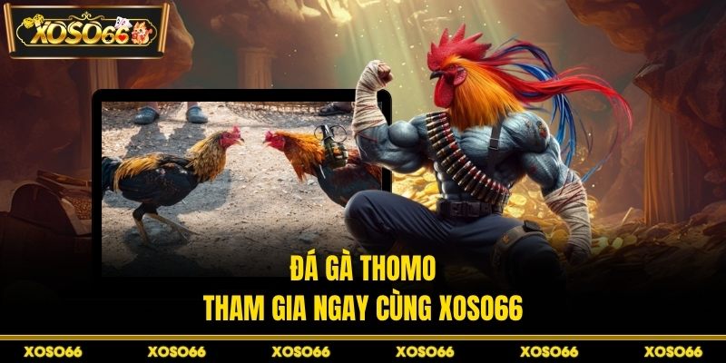 Bắn Cá Bingo XOSO66 – Trải Nghiệm Săn Thưởng Đỉnh Cao